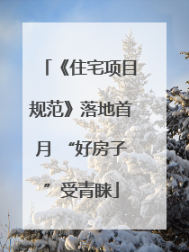 《住宅项目规范》落地首月 “好房子”受青睐