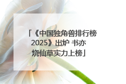 《中国独角兽排行榜2025》出炉 书亦烧仙草实力上榜