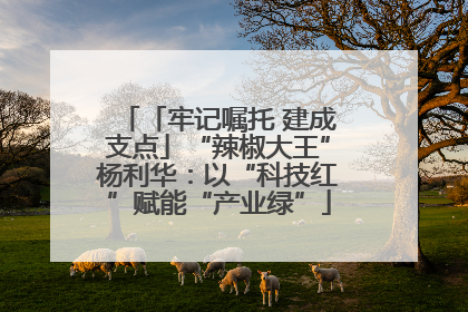「牢记嘱托 建成支点」“辣椒大王”杨利华：以“科技红”赋能“产业绿”