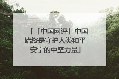 「中国网评」中国始终是守护人类和平安宁的中坚力量