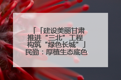 「建设美丽甘肃 推进“三北”工程 构筑“绿色长城”」民勤：厚植生态底色 筑牢绿色屏障