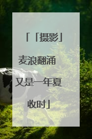 「摄影」麦浪翻涌 又是一年夏收时