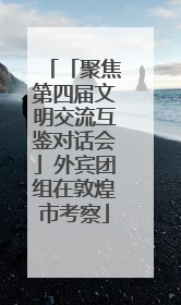 「聚焦第四届文明交流互鉴对话会」外宾团组在敦煌市考察