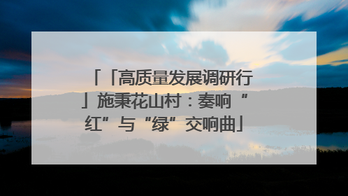 「高质量发展调研行」施秉花山村：奏响“红”与“绿”交响曲