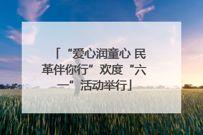 “爱心润童心 民革伴你行”欢度“六一”活动举行