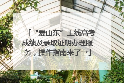 “爱山东”上线高考成绩及录取证明办理服务，操作指南来了→