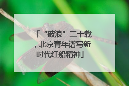 “破浪”二十载，北京青年谱写新时代红船精神