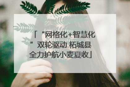 “网格化+智慧化”双轮驱动 柘城县全力护航小麦夏收