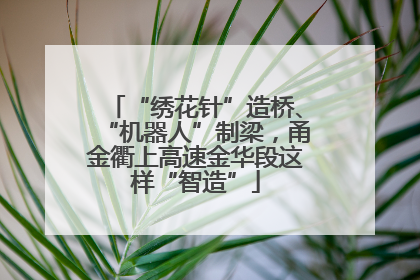 “绣花针”造桥、“机器人”制梁，甬金衢上高速金华段这样“智造”