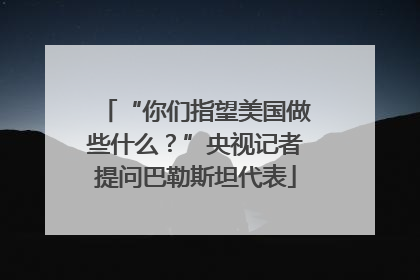 “你们指望美国做些什么？”央视记者提问巴勒斯坦代表