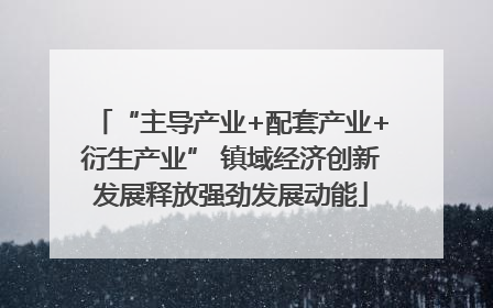 “主导产业+配套产业+衍生产业” 镇域经济创新发展释放强劲发展动能