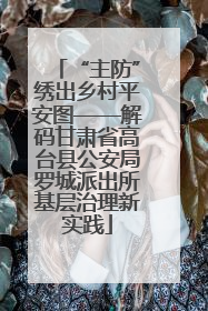 “主防”绣出乡村平安图——解码甘肃省高台县公安局罗城派出所基层治理新实践