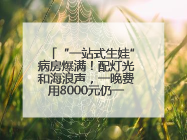 “一站式生娃”病房爆满！配灯光和海浪声，一晚费用8000元仍一床难求