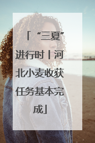 “三夏”进行时丨河北小麦收获任务基本完成