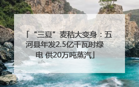 “三夏”麦秸大变身：五河县年发2.5亿千瓦时绿电 供20万吨蒸汽