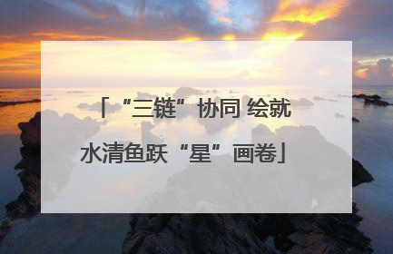 “三链”协同 绘就水清鱼跃“星”画卷
