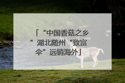 “中国香菇之乡”湖北随州“致富伞”远销海外