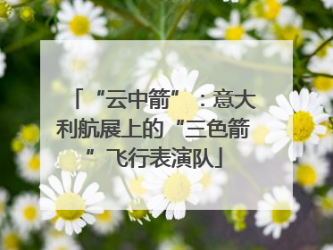 “云中箭”：意大利航展上的“三色箭”飞行表演队