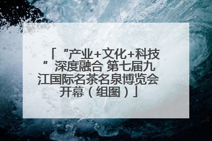 “产业+文化+科技”深度融合 第七届九江国际名茶名泉博览会开幕（组图）