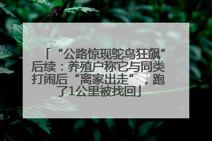 “公路惊现鸵鸟狂飙”后续：养殖户称它与同类打闹后“离家出走”，跑了1公里被找回