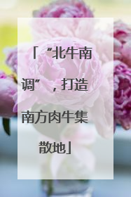 “北牛南调”，打造南方肉牛集散地