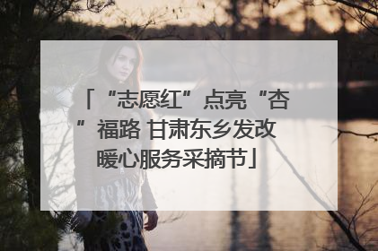 “志愿红”点亮“杏”福路 甘肃东乡发改暖心服务采摘节