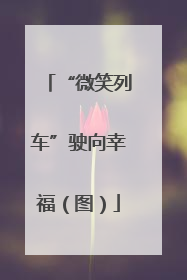 “微笑列车”驶向幸福（图）