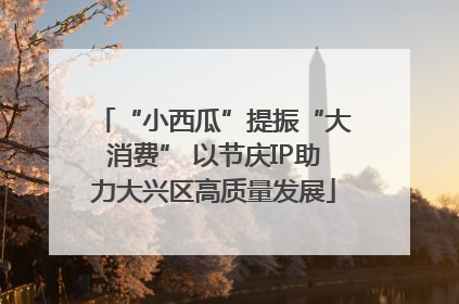 “小西瓜”提振“大消费” 以节庆IP助力大兴区高质量发展