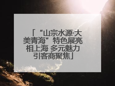“山宗水源·大美青海”特色展亮相上海 多元魅力引客商聚焦