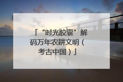 “时光胶囊”解码万年农耕文明（考古中国）