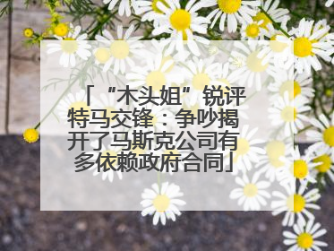 “木头姐”锐评特马交锋：争吵揭开了马斯克公司有多依赖政府合同