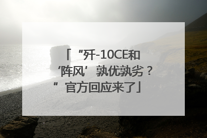 “歼-10CE和‘阵风’孰优孰劣？”官方回应来了