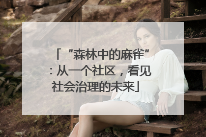 “森林中的麻雀”：从一个社区，看见社会治理的未来