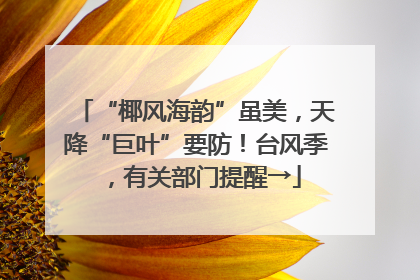 “椰风海韵”虽美，天降“巨叶”要防！台风季，有关部门提醒→