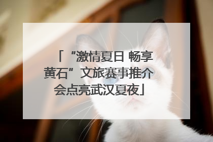 “激情夏日 畅享黄石”文旅赛事推介会点亮武汉夏夜