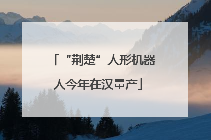 “荆楚”人形机器人今年在汉量产