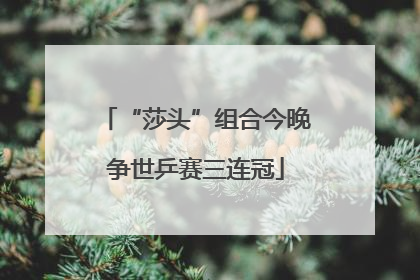 “莎头”组合今晚争世乒赛三连冠