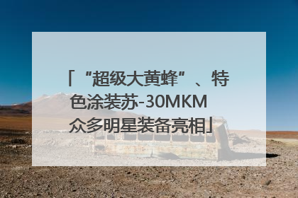 “超级大黄蜂”、特色涂装苏-30MKM 众多明星装备亮相