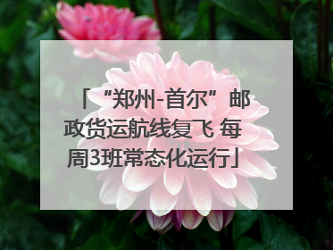 “郑州-首尔”邮政货运航线复飞 每周3班常态化运行