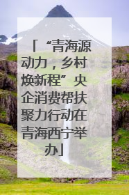 “青海源动力，乡村焕新程”央企消费帮扶聚力行动在青海西宁举办