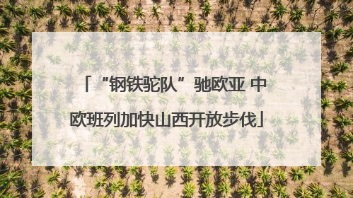 “钢铁驼队”驰欧亚 中欧班列加快山西开放步伐