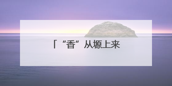 “香”从塬上来——“大塬长歌”文艺演出侧记