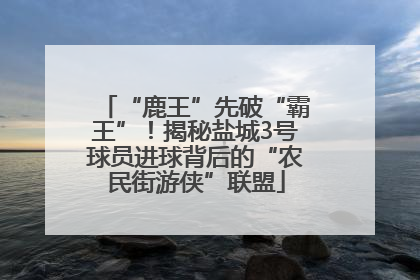 “鹿王”先破“霸王”！揭秘盐城3号球员进球背后的“农民街游侠”联盟