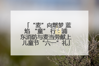 “麦”向燃梦 蓝焰 “童” 行：浦东消防与麦当劳献上儿童节“六一”礼