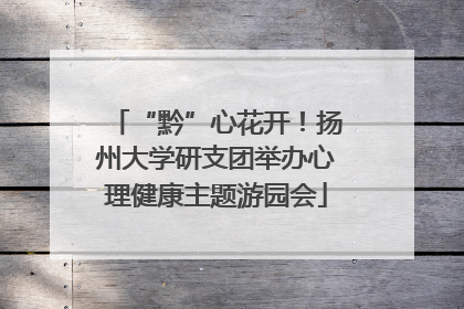 “黔”心花开！扬州大学研支团举办心理健康主题游园会