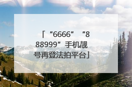 “6666”“888999”手机靓号再登法拍平台