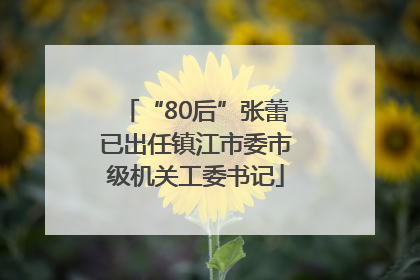 “80后”张蕾已出任镇江市委市级机关工委书记