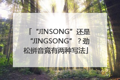 “JINSONG”还是“JINGSONG”？劲松拼音竟有两种写法