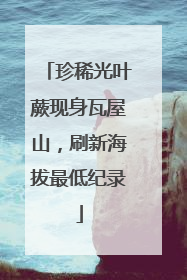 珍稀光叶蕨现身瓦屋山，刷新海拔最低纪录