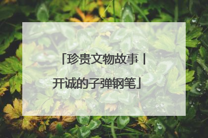 珍贵文物故事丨开诚的子弹钢笔